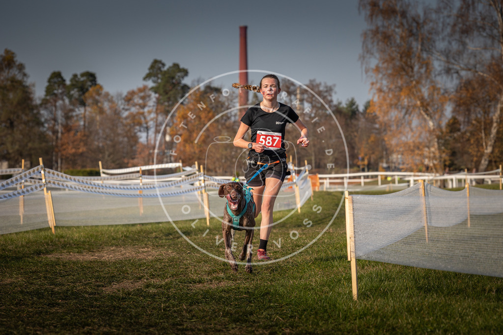 CaniXpix_0L8A9760 | Hundefotografie, Tierfotograf, Pfotenfotografie, Fotoshooting Hund, Hunde Portrait, Hundesport, Hundeportraits, Heideshooting, Hunde, Sportfotograf, Hundefotograf, Turnierhundsport, THS,  - Realisiert mit Pictrs.com