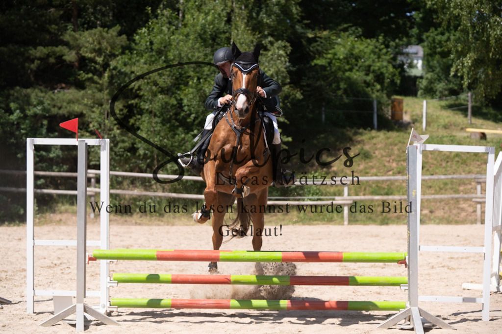 A7V08583 | Pferdefotograf