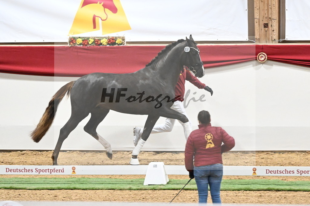 Kat.-Nr. 37 v. Benicio_Schulze Averdiek_3260156 | hf-fotografie - Realizzato con Pictrs.com