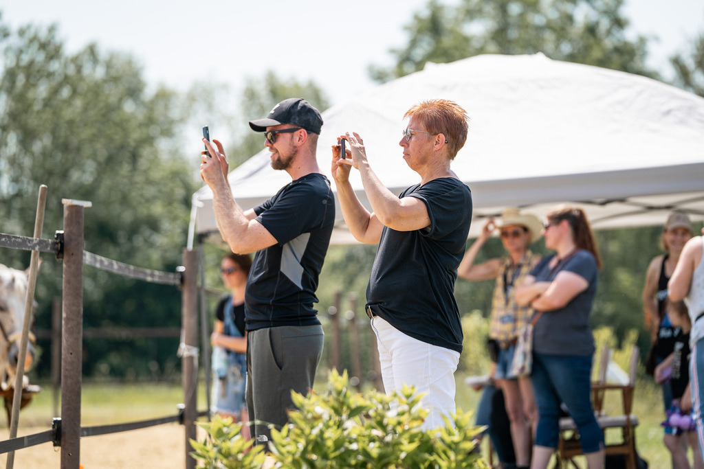 DSC00735 | Pferdegrafie