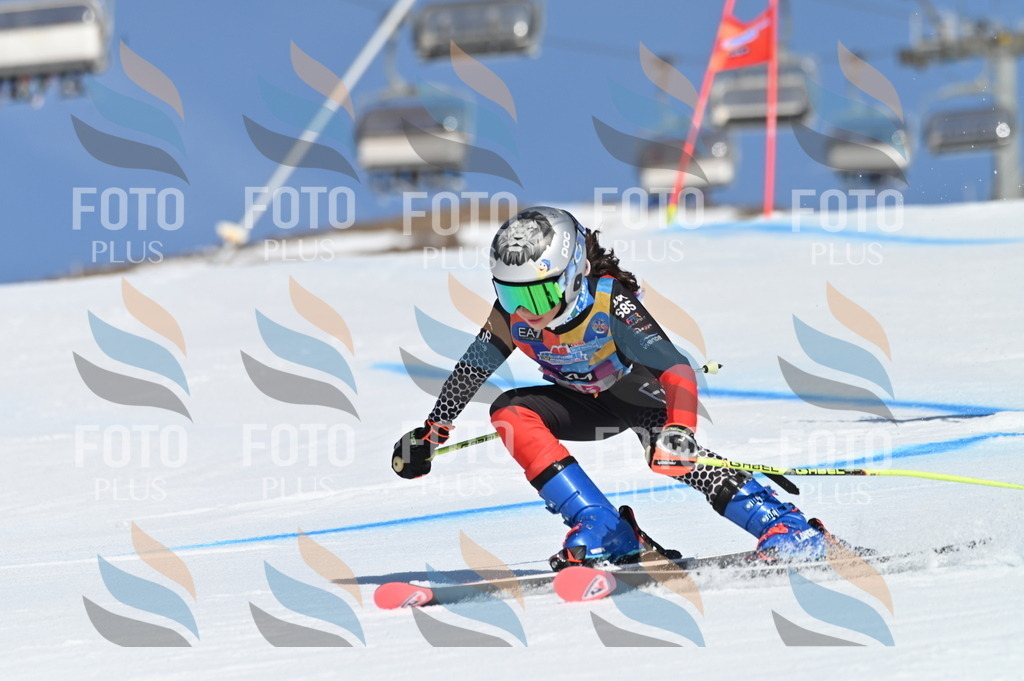 BGV_8448 | holidayphoto