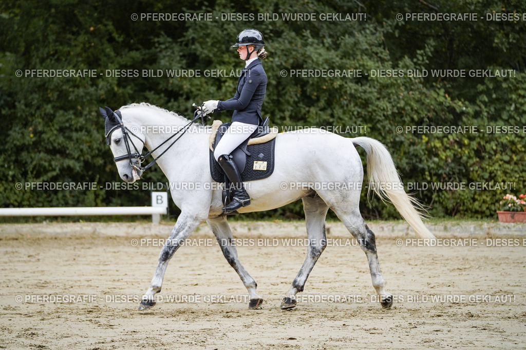 DSC08511 | Pferdegrafie