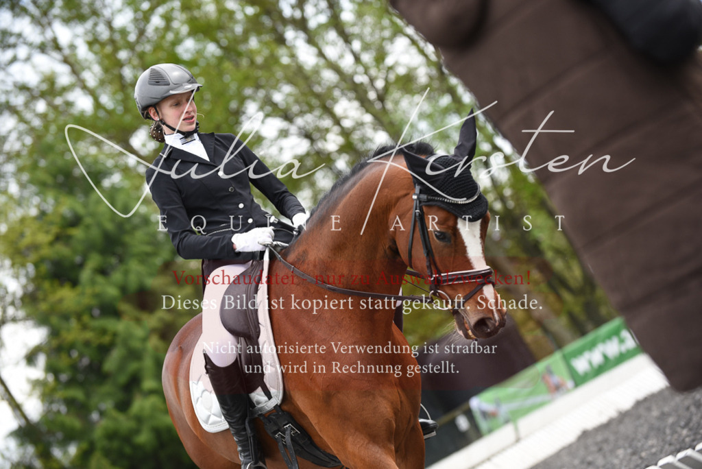20230513_JK-Röhrsdorf-16-094 | Pferde- und Turnierfotografie in Westsachsen. Pferdeportraits, Auftragszeichnungen und intuitive Kunst.
