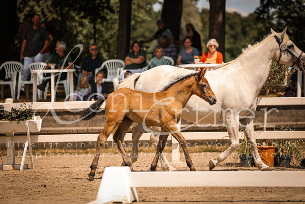 02.DoSR00156 | Leoni Ertmer Photography - Realisiert mit Pictrs.com