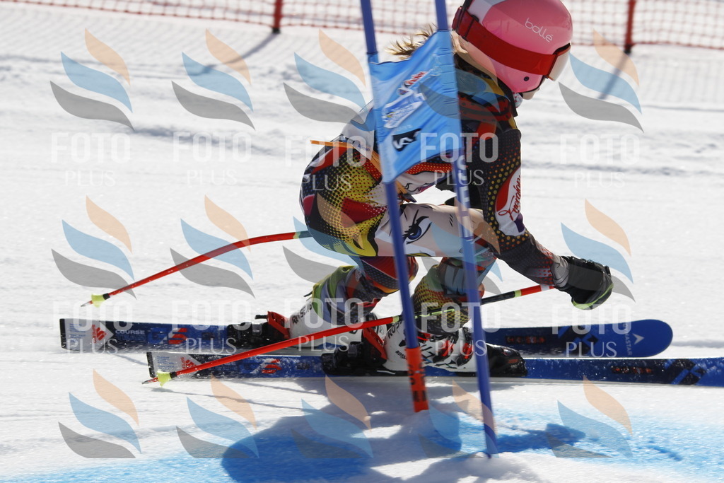 _U3G9301 | holidayphoto