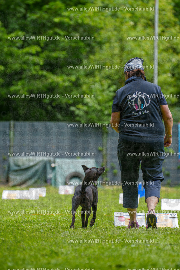 @allesWIRTHgut_Tierfotografie - www.allesWIRTHgut.de - 124428-7R509393 | Professionelle Tierfotografie in Mönchengladbach von Daniel Wirth (allesWIRTHgut). Liebevolle & natürliche Bilder von Hunden & Katzen für unvergessliche Erinnerungen.