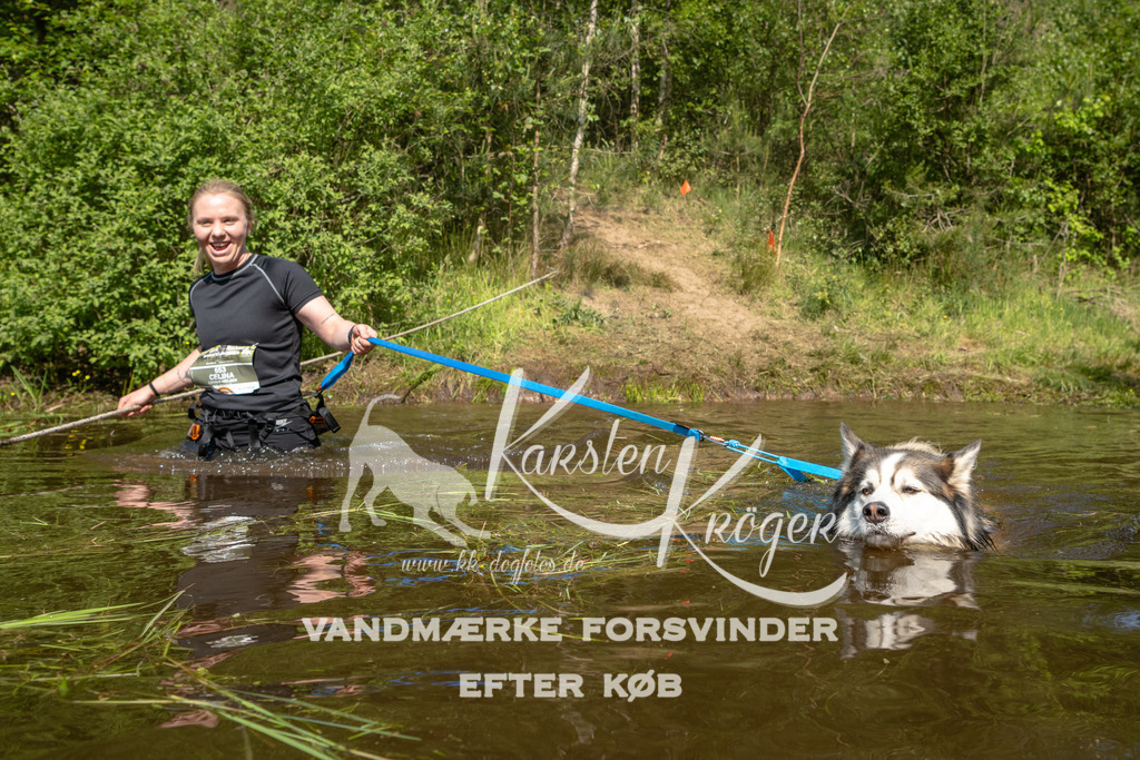 1016DKK990325 | kk-dogfotos