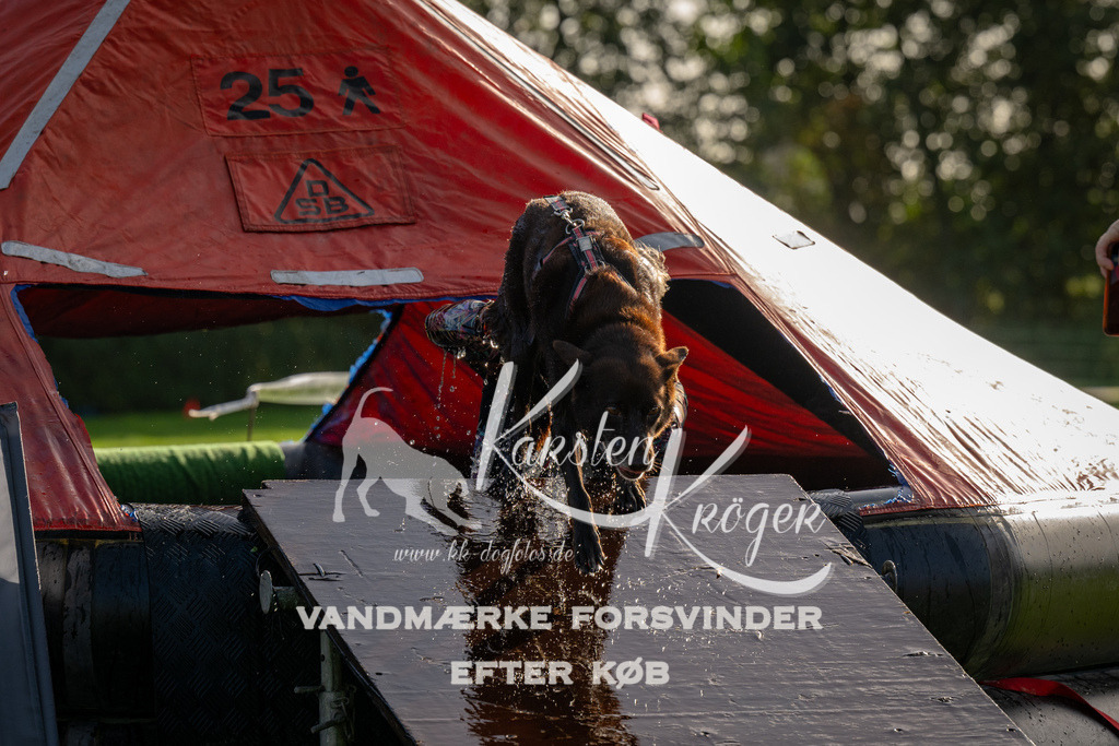 1114-91887 | kk-dogfotos