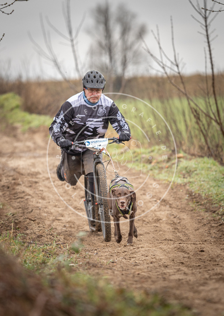 DV3A9266 | Hundefotografie, Tierfotograf, Pfotenfotografie, Fotoshooting Hund, Hunde Portrait, Hundesport, Hundeportraits, Heideshooting, Hunde, Sportfotograf, Hundefotograf, Turnierhundsport, THS,  - Realisiert mit Pictrs.com