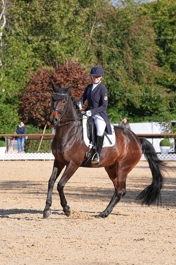 09_1-155-DRESSUR  S_  -Marixx-5673 | working equitationturnier fotograf videograf stoibphotography marixx film working equitation deutschland reitsport turnierfotografie eventfotografie equestrian events