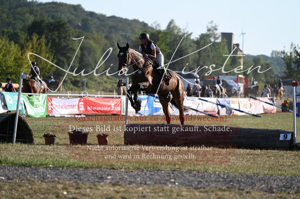 DSC_9029 | Pferde- und Turnierfotografie in Westsachsen. Pferdeportraits, Auftragszeichnungen und intuitive Kunst.