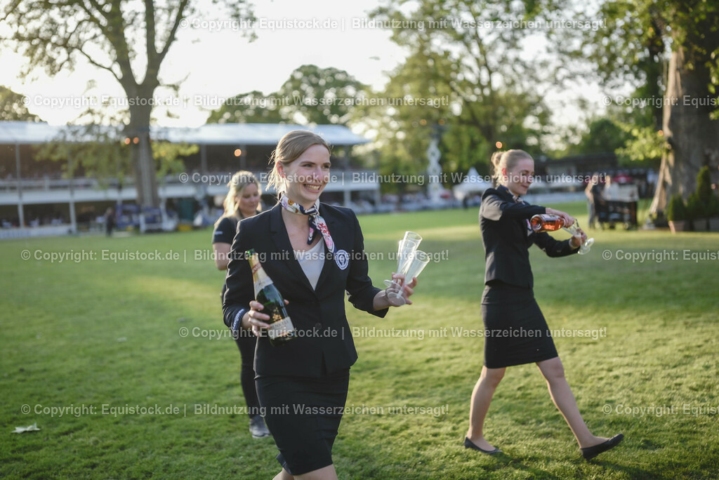 20230526_Pferdenacht_0072 | equistock