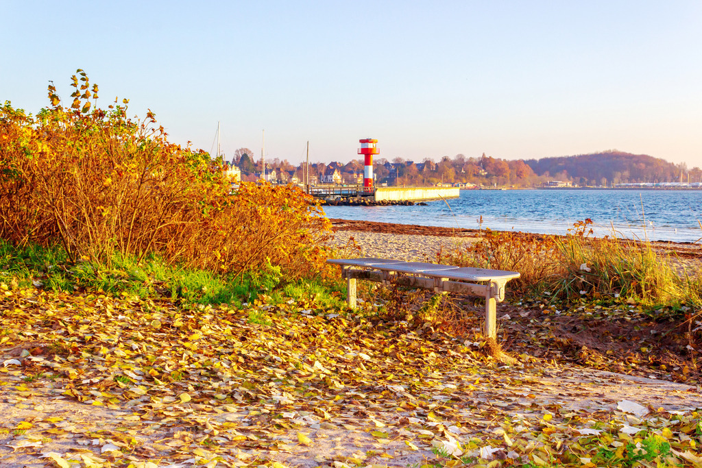 Wandbild: Bank am Strand in Eckernförde im Herbst | Dieses Wandbild im Querformat zeigt eine Bank am Strand in Eckernförde im Herbst. Die Bank steht inmitten von Laub. In der Ferne ist der Leuchtturm am Yachthafen zu sehen. - Realisiert mit Pictrs.com