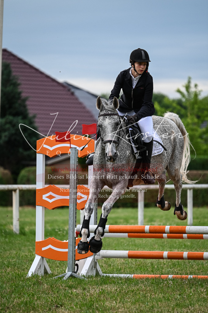 DSC_8339 | Pferde- und Turnierfotografie in Westsachsen. Pferdeportraits, Auftragszeichnungen und intuitive Kunst.