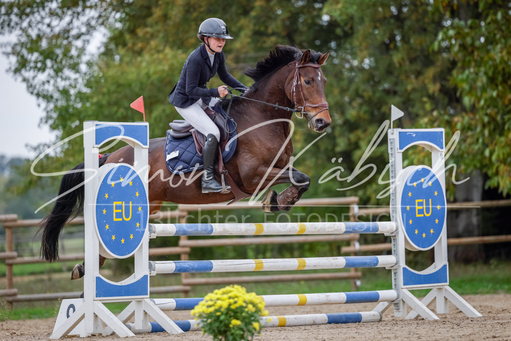20251012-_3LI4475 | Tierfotografie Pferde, Hunde, Katzen, Haustiere.
Turnierfotografie Reitturniere, Reiten, Springreiten, Dressur in Hanau, dem Main-Kinzig-Kreis und dem Rhein-Main- Gebiet um Frankfurt