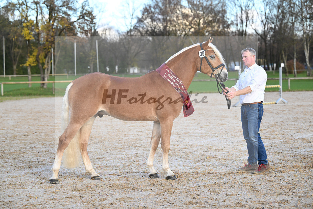 Kat-Nr. 35 Whisky Coke v. Wyno_Mayer_60221778 | hf-fotografie - Realisiert mit Pictrs.com