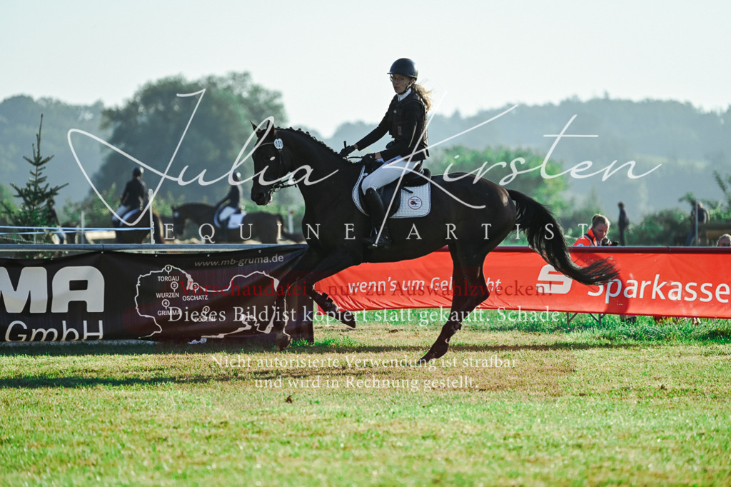DSC_4215 | Pferde- und Turnierfotografie in Westsachsen. Pferdeportraits, Auftragszeichnungen und intuitive Kunst.