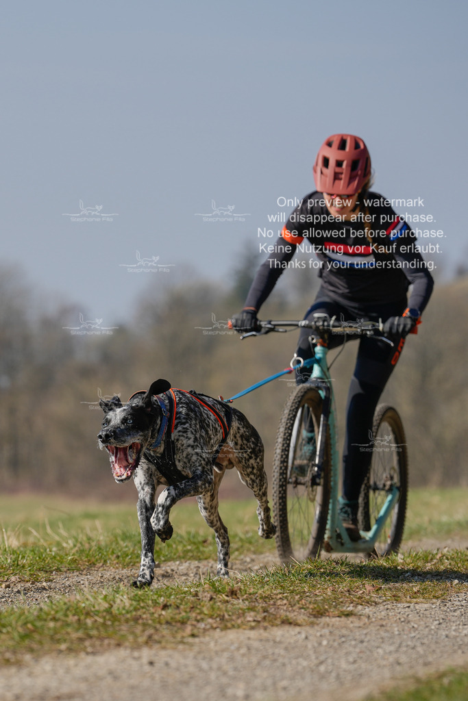 Scooter_Lang-63 | stephaniefillaphotographie - Realisiert mit Pictrs.com