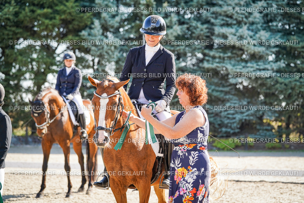 DSC00155 | Pferdegrafie