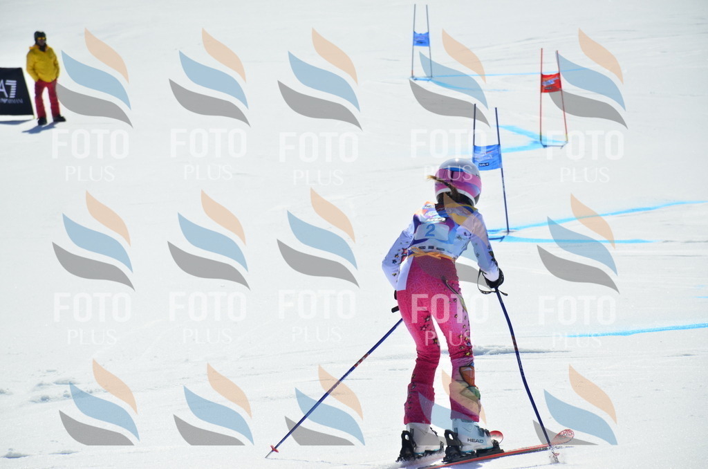 _ELE9704 | holidayphoto