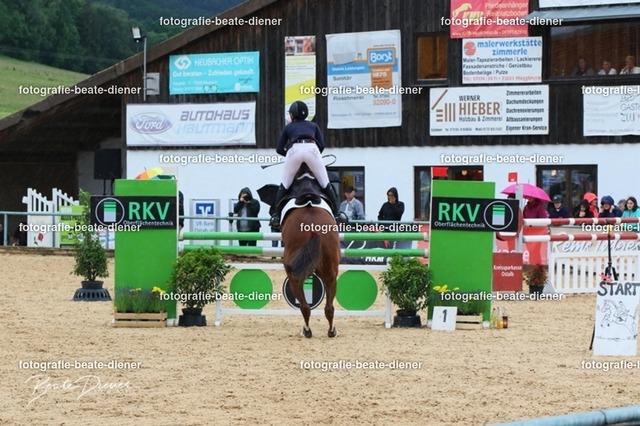 OHT2321 | Fotografie, Tiere, Hunde, Katzen, Pferde, Sportfotografie, Fotosession, Tierfotografie, Turnierfotografie, Fotografin, Fotograf - Realisiert mit Pictrs.com