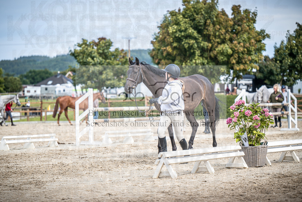 DOS_1216 | Entdecke hochwertige Reitturnierfotos von Foto Oger. Professionell, emotional und authentisch – jetzt Lieblingsmomente im Shop bestellen.Deutschlandweite Turnierfotografie. - Realisiert mit Pictrs.com