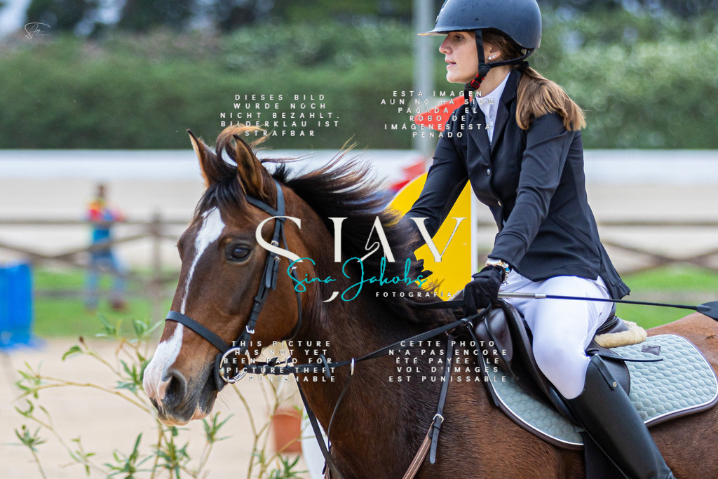 IMG_1314 | s-jay-photography - Realisiert mit Pictrs.com