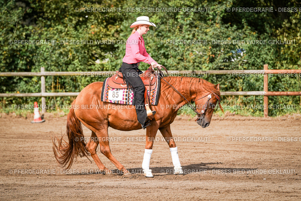 DSC09470 | Pferdegrafie