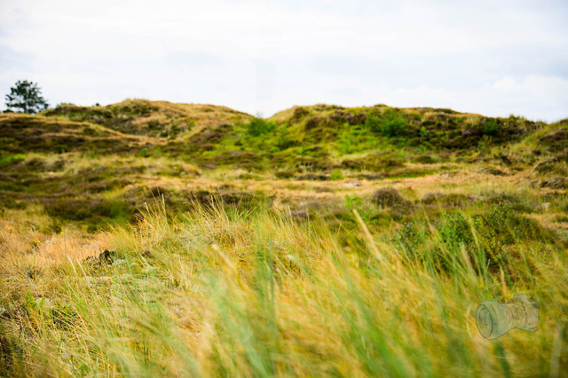 _DSC2106 | Shop für Prints Landschaftsfotografie Sächsische Schweiz Naturfotografie in Thüringen Fotos vom Findlingspark Nochten Kloster Sankt Marienstern Bilder Festung Königstein PanoramaRhododendronpark Kromlau FotogalerSchleswig-Holstein Küstenlandschaften