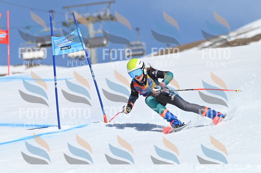 BGV_9216 | holidayphoto