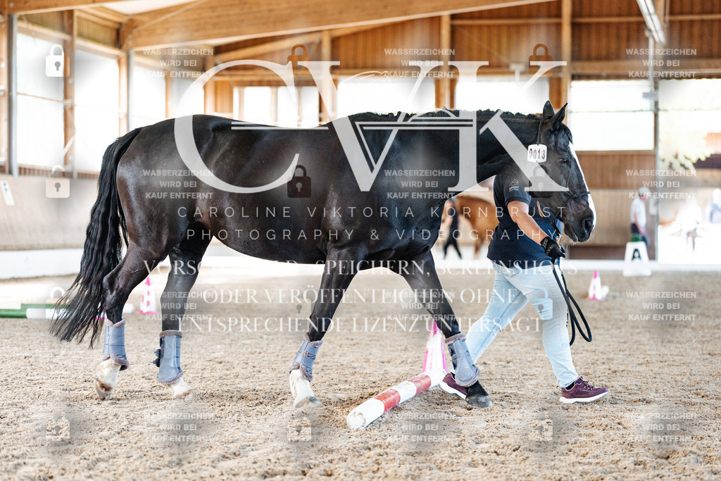CK906228 | Turnierfotografie Pferdefotografie Trier Rheinland-Pfalz Pferdesport Reitsport Tierfotografie Sportfotografie Pferdevideo Pferdevideografie Equestrianvideography equestrianphotography  - Realisiert mit Pictrs.com
