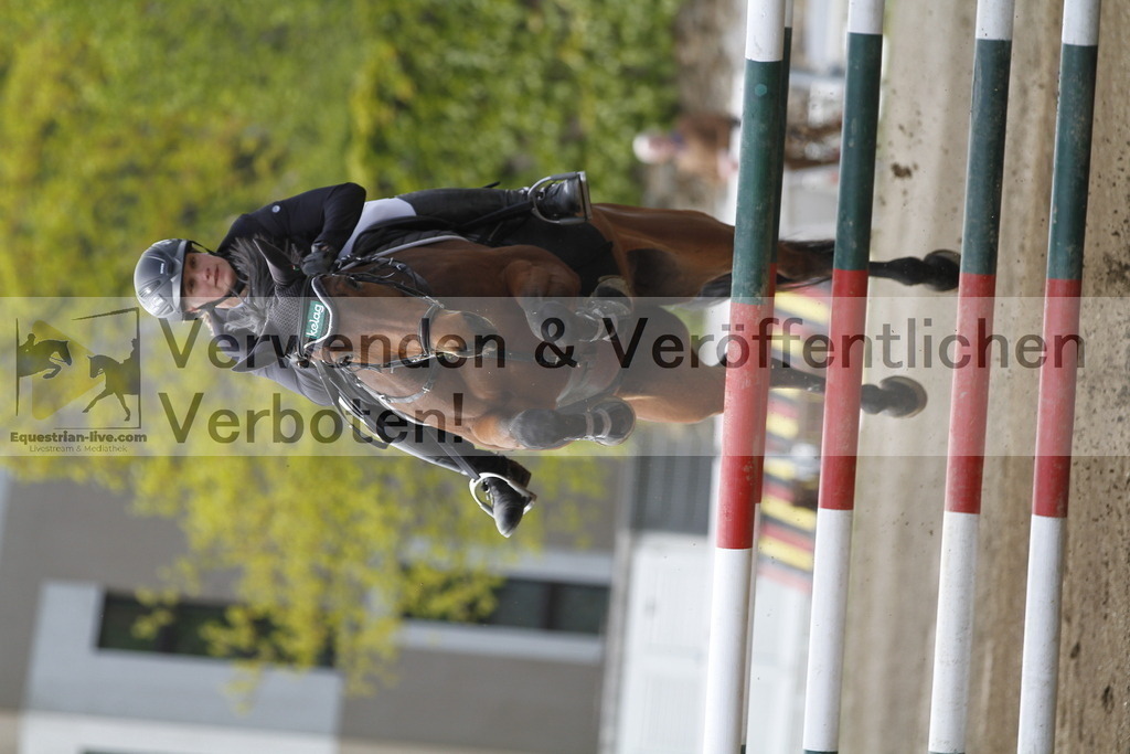 _MG_2425 | equestrian-live-com