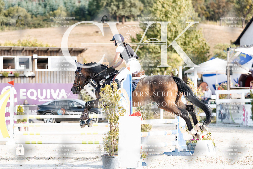 CK909399 | Turnierfotografie Pferdefotografie Trier Rheinland-Pfalz Pferdesport Reitsport Tierfotografie Sportfotografie Pferdevideo Pferdevideografie Equestrianvideography equestrianphotography  - Realisiert mit Pictrs.com