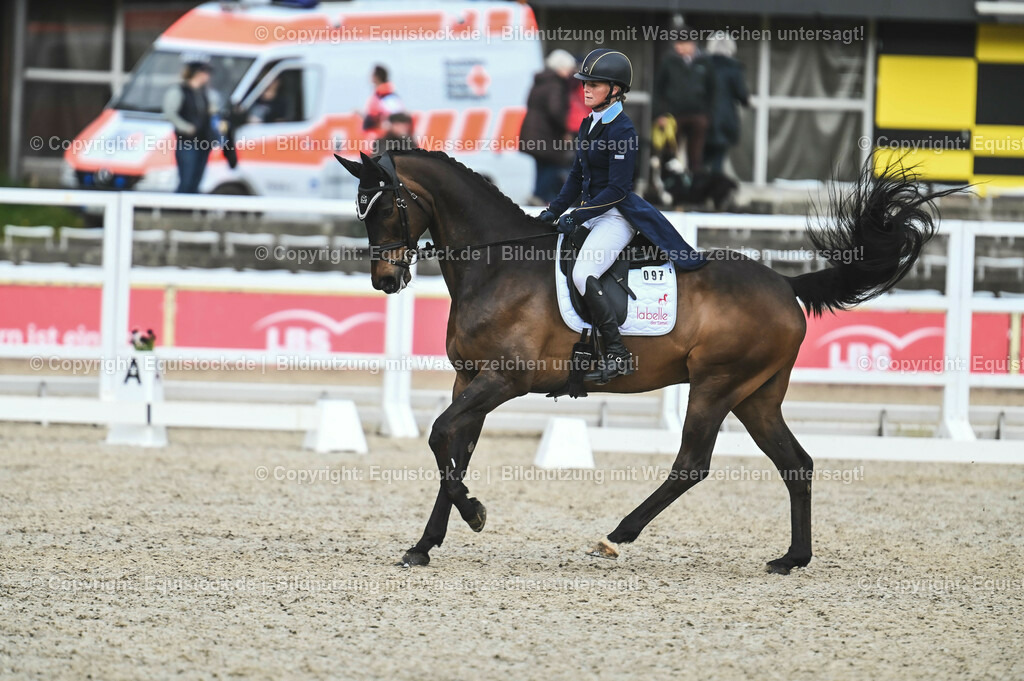 20230512_CCI4_Dressur_0410 | equistock