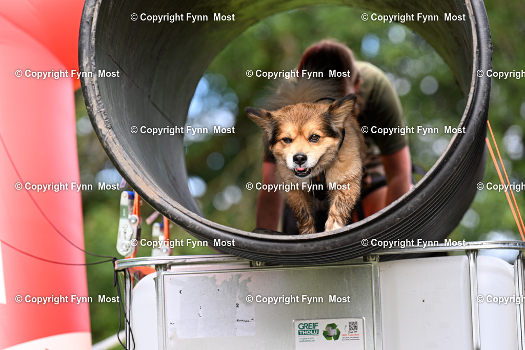 DSC_3821 | Hallo und herzlich Willkommen auf meiner Shop-Seite Fynn Most.

Ich wünsche Dir viel Spaß beim stöbern durch die Bilder, wenn Du Fragen hast oder Bilder vermisst, kannst du mir gerne eine Nachricht schreiben. - Realisiert mit Pictrs.com