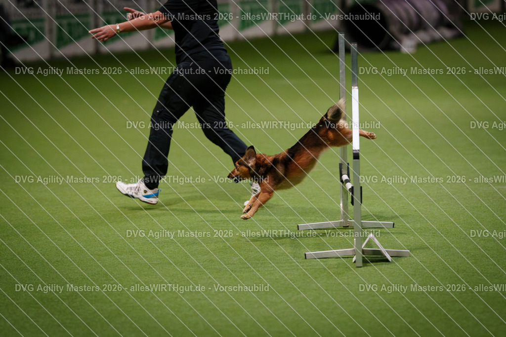 allesWIRTHgut_Tierfotografie-DVG_Agility_Masters_2026-08_25-7R508099 | Professionelle Tierfotografie in Mönchengladbach von Daniel Wirth (allesWIRTHgut). Liebevolle & natürliche Bilder von Hunden & Katzen für unvergessliche Erinnerungen.