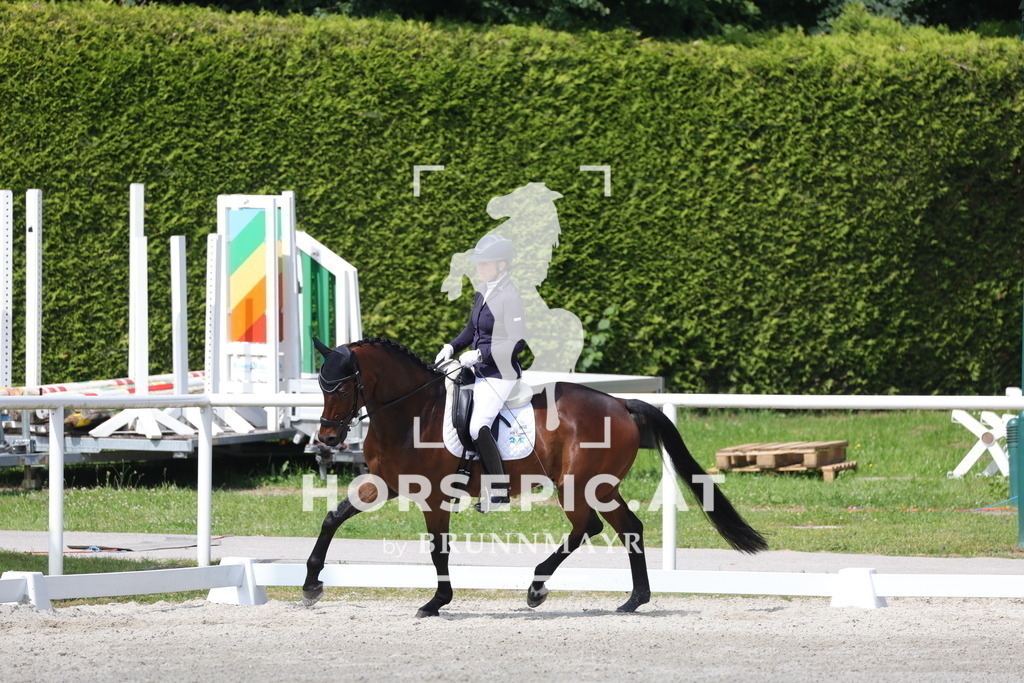 0P6A4986 | Willkommen bei Brunnmayr - Design & Fotografie – Ihrem Spezialisten für Reitturniere und Pferdeveranstaltungen in Oberösterreich, Salzburg und Bayern! Seit über 17 Jahren sind wir leidenschaftlich dabei.