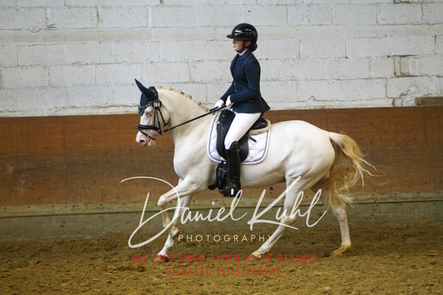 DKP44141 | Turniersportfotografie; Pferdefotografie; Dressurfotografie