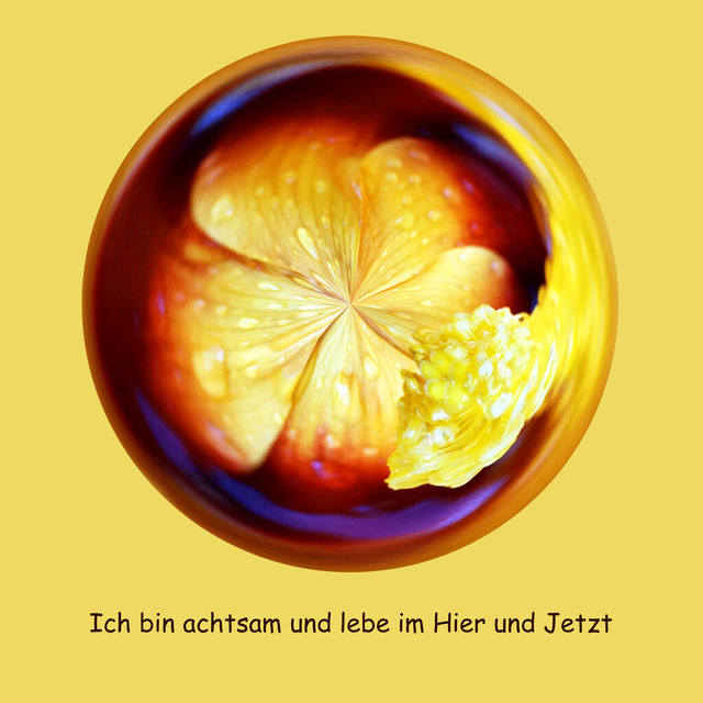 5Hibiskus | Outdoorpixl Teßen OHG - Realisiert mit Pictrs.com