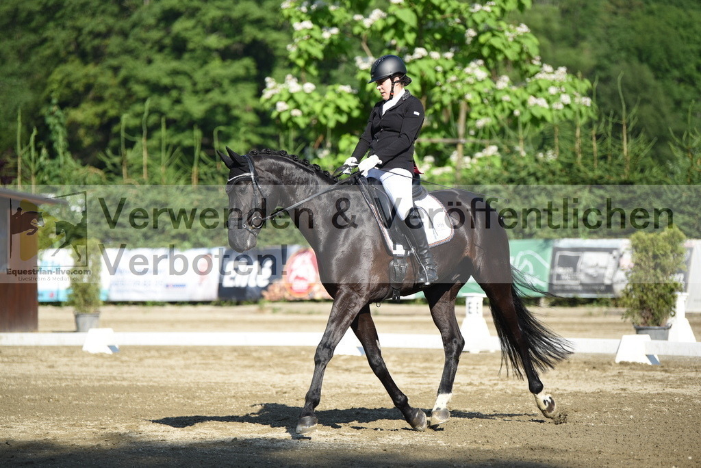 DSC_7099 | equestrian-live-com