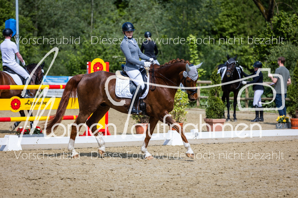 Donop24-L-Dre-035 | MomenTaufnahmen Pferdesportfotos