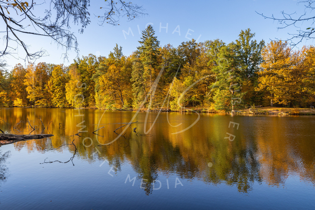2024-10-23 Stuttgart Herbst Solitude 016 | Schwotte Media - Realisiert mit Pictrs.com