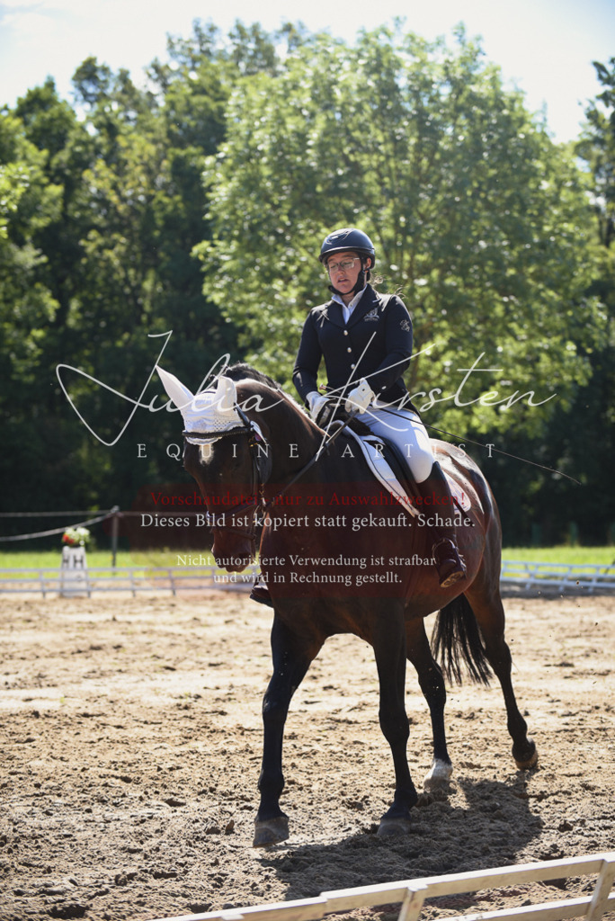 DSC_0419 | Pferde- und Turnierfotografie in Westsachsen. Pferdeportraits, Auftragszeichnungen und intuitive Kunst.