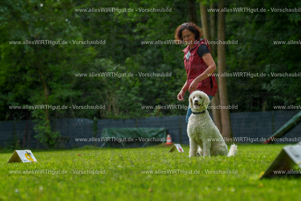 @allesWIRTHgut_Tierfotografie - www.allesWIRTHgut.de - 7R505207 | Professionelle Tierfotografie in Mönchengladbach von Daniel Wirth (allesWIRTHgut). Liebevolle & natürliche Bilder von Hunden & Katzen für unvergessliche Erinnerungen.