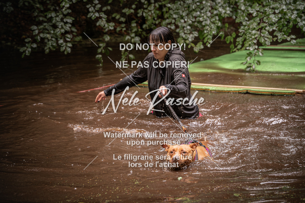 nelerasche_Wingst_Sa1330-1400_30 | nelerasche
