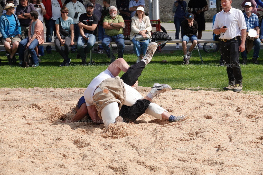 DSC01457 | Schwingen - Realisiert mit Pictrs.com