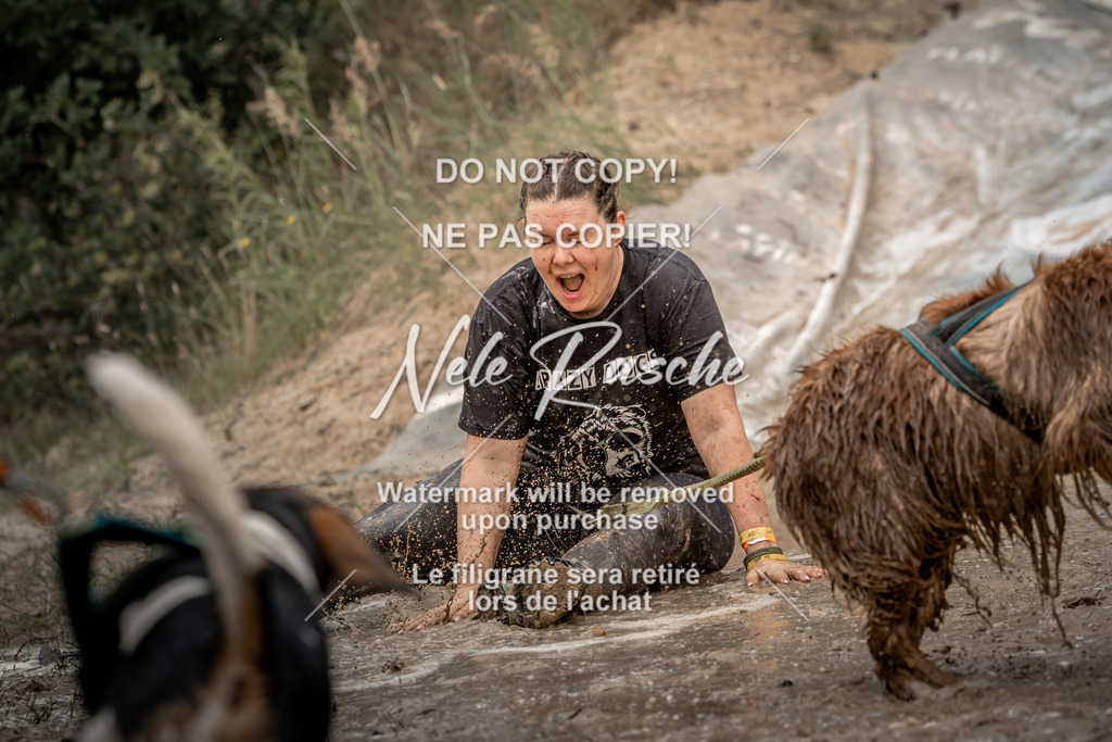 nelerasche_sa1300-1345_147 | nelerasche