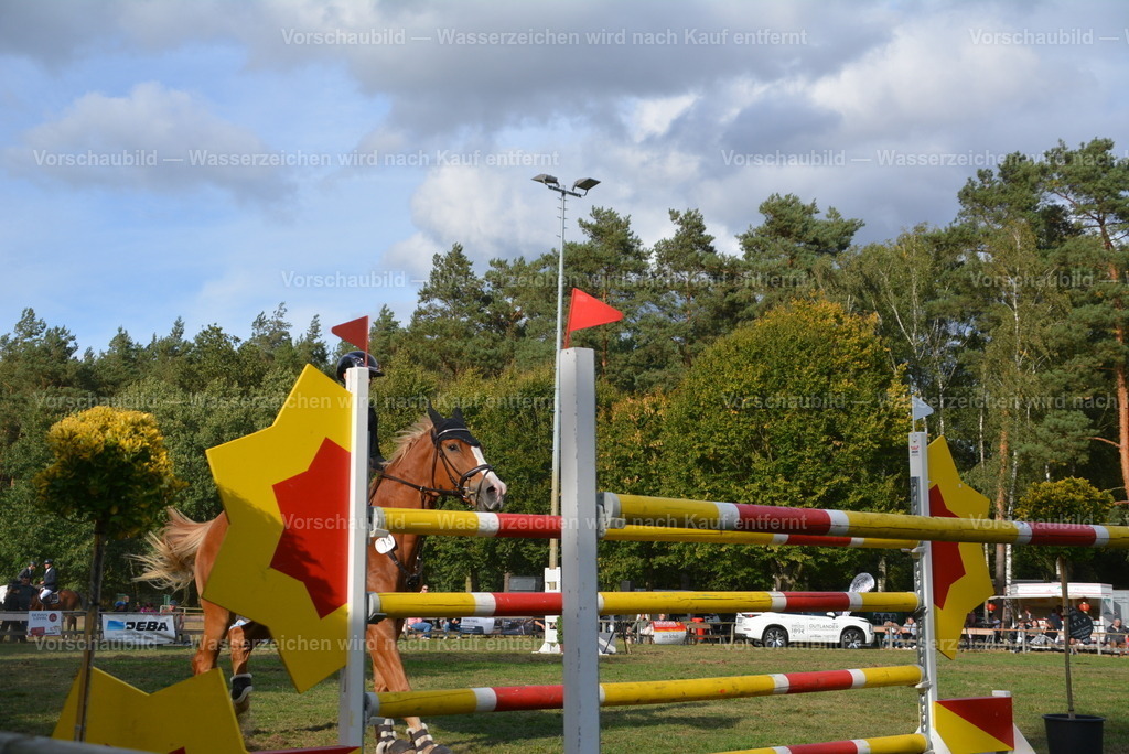 DSC_0319 | heimberg-sportfotos - Realisiert mit Pictrs.com