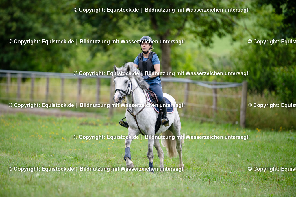 20250725_Vielseitigkeitslehrgang-Marbach_0497 | Foto: Thomas Hartig