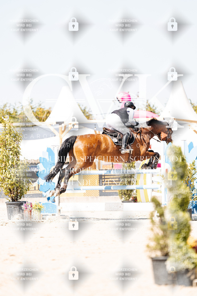 CK909620 | Turnierfotografie Pferdefotografie Trier Rheinland-Pfalz Pferdesport Reitsport Tierfotografie Sportfotografie Pferdevideo Pferdevideografie Equestrianvideography equestrianphotography  - Realisiert mit Pictrs.com